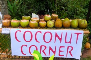 Nature's energy drink on tap at the Bali Spirit Festival